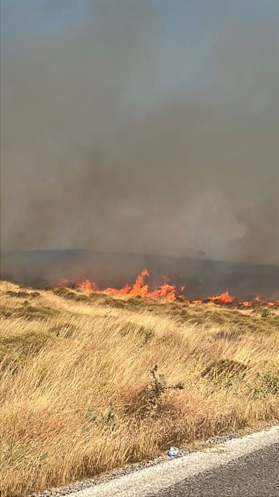 Tire’de Alacalı Köyü Yakınlarında Korkutan Yangın!