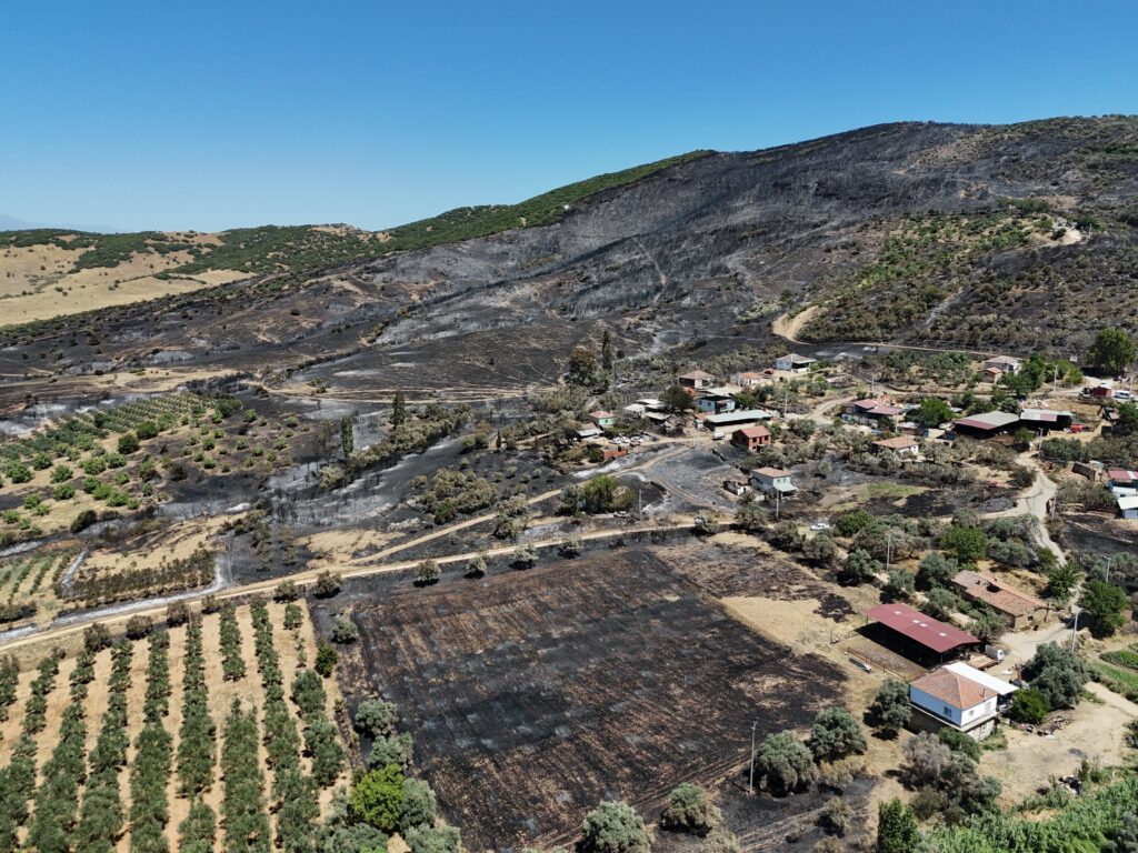 Alacalı’daki Yangının Boyutu Gün Ağarınca Ortaya Çıktı