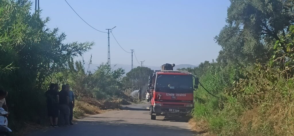 Tire’de TOKİ Yolu Şeytan Kısığı Mevkiinde Yangın Çıktı