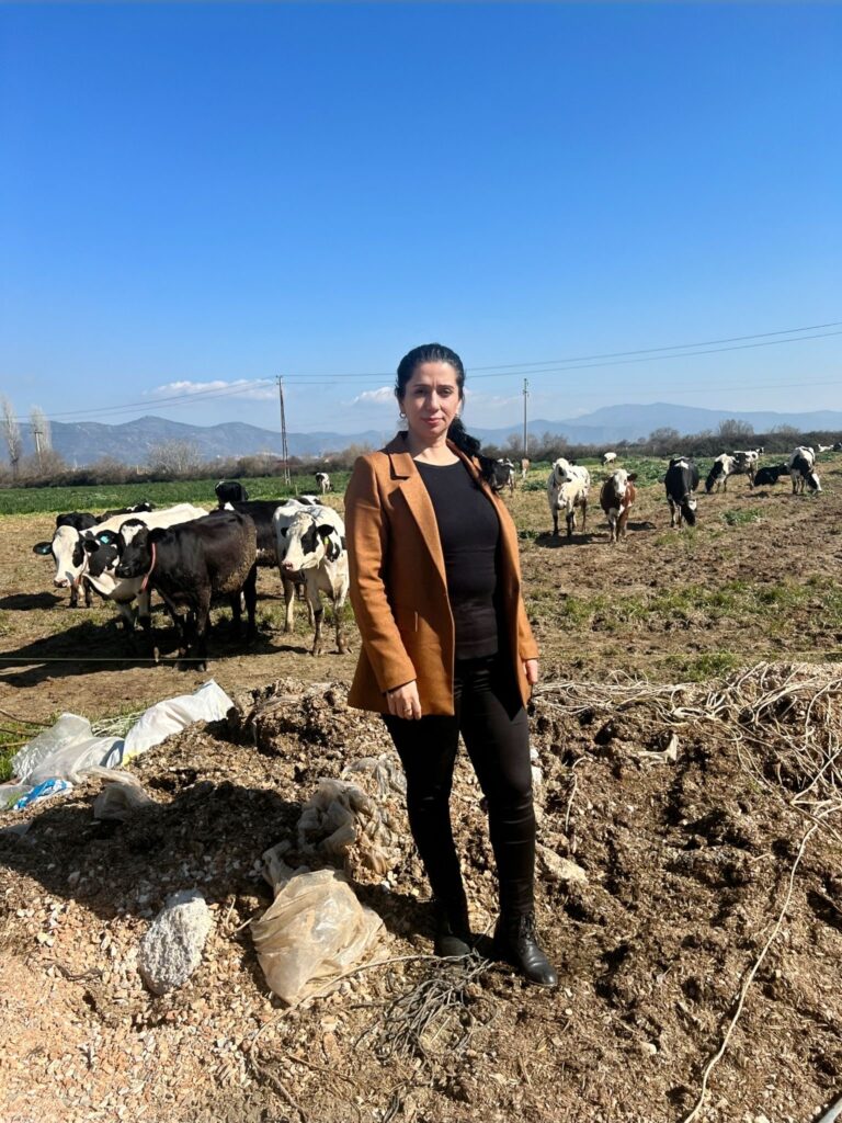 Küçük Menderes’i şap vurdu, ticaret durdu, üretici çaresiz: Bakanlık göreve!