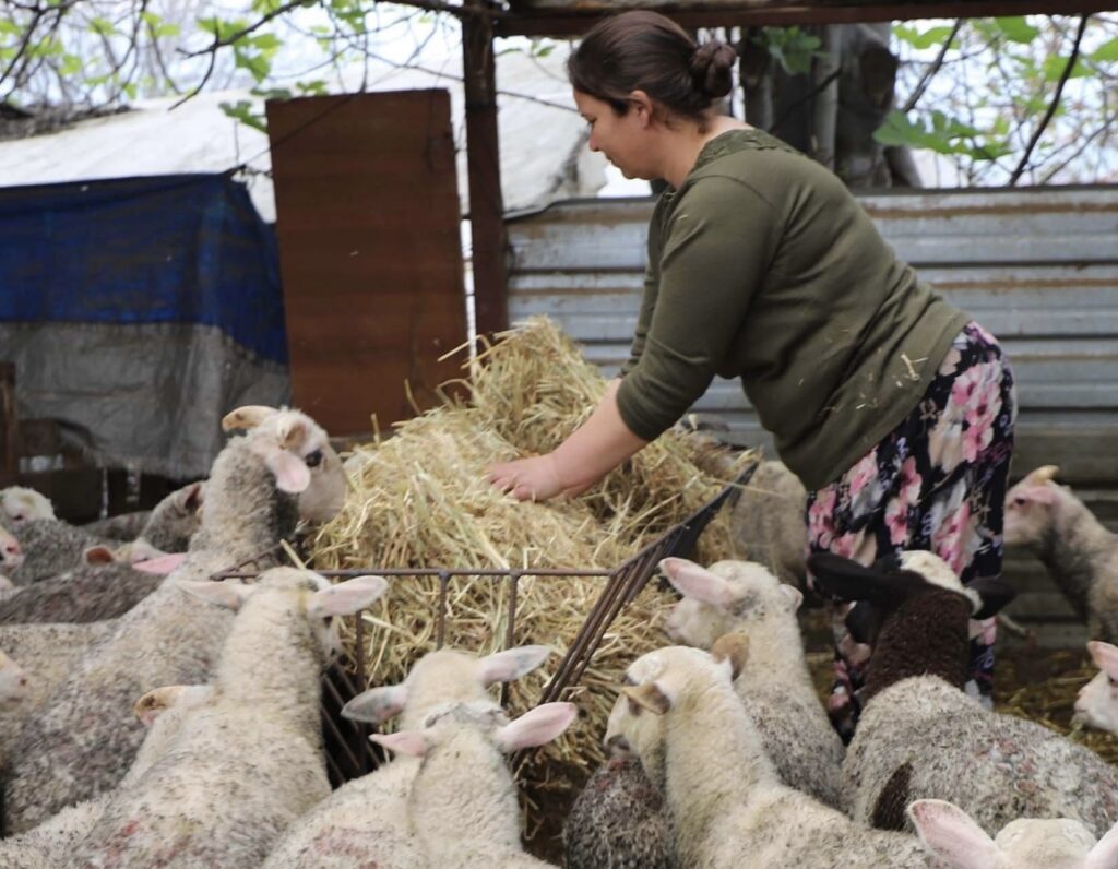 Tireli Kadın Çiftçi, Babasının Hediye Ettiği Kuzuyla Çiftlik Kurdu