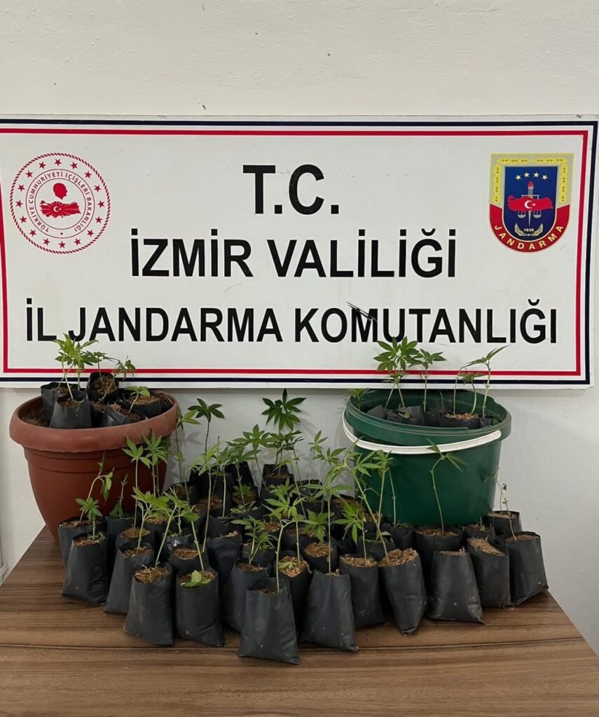 Tire’de jandarmadan drone destekli uyuşturucu operasyonu