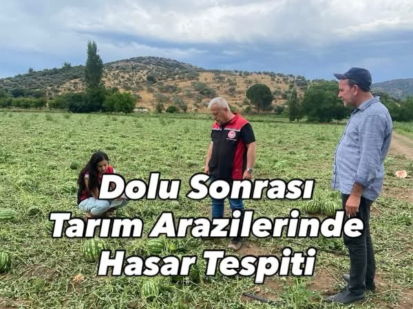 Dolu Sonrası Arazilerde Hasar Tespiti