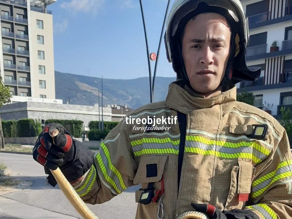 Tire’de Araçta Yılan Paniği!
