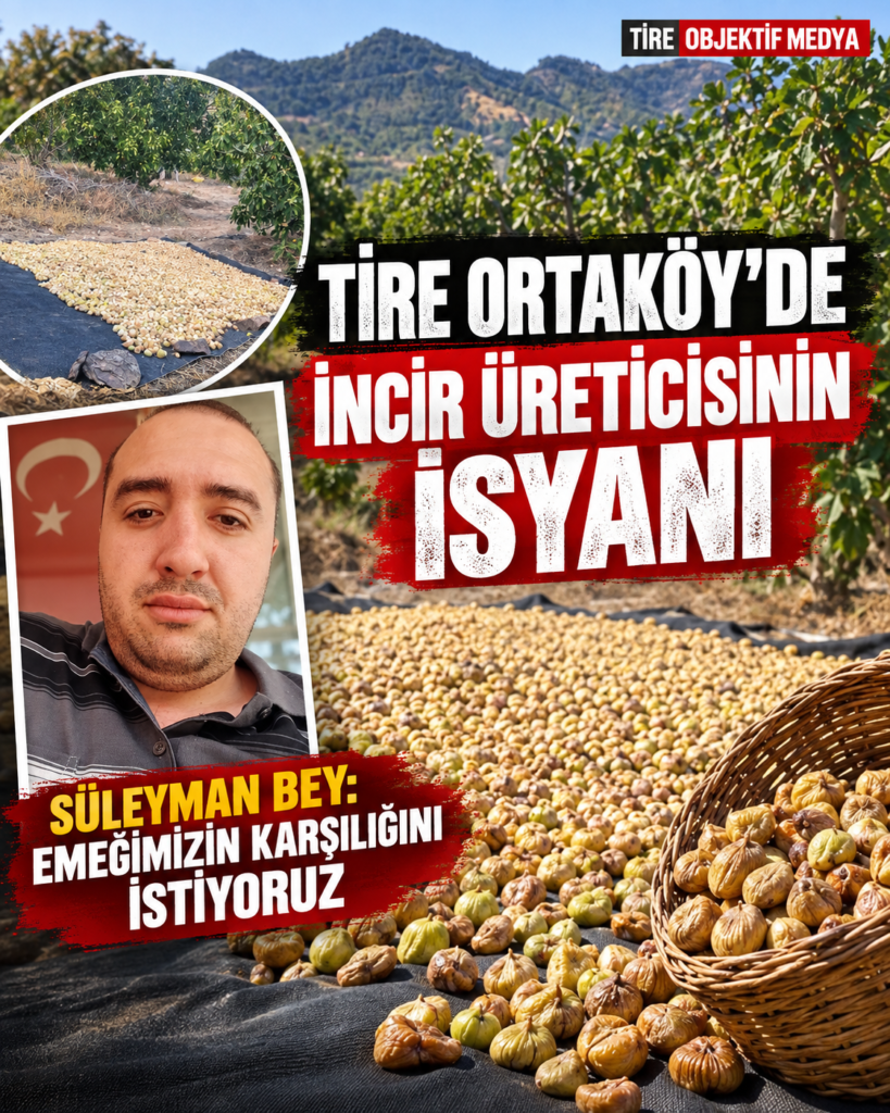 Tire Ortaköy’den incir üreticisi Süleyman Bey, yaşadıkları sıkıntılara isyan ederek yetkililere seslendi: