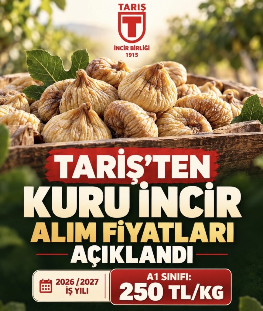 TARİŞ’TEN BEKLENEN KURU İNCİR FİYATLARI AÇIKLAMASI